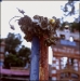 Bouquet, Double Headed Eagle Church, HWY 61, MS 2010