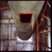 Chute, Cotton Gin, Dockery Plantation, MS 2010