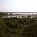 View of the Mighty Mississippi, Rosedale, MS 2010