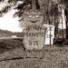 Best Peanuts, HWY 301, 2010