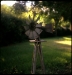 Windmill Lawn Ornament, Gainesville, FL 2010