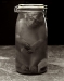 Monkey in Jar, New Orleans, 2002